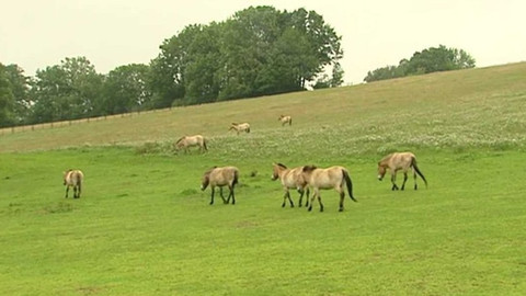 Z metropole - 24. dubna 2021