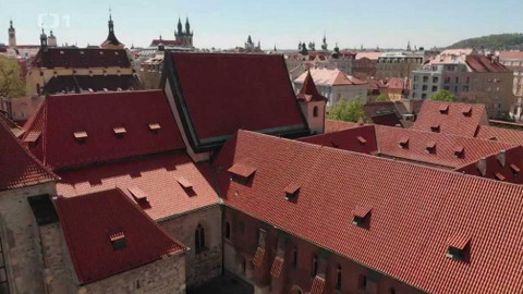 Toulavá kamera - 10. listopadu 2019