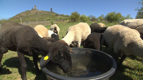 Chcete mě? - 12. května 2019