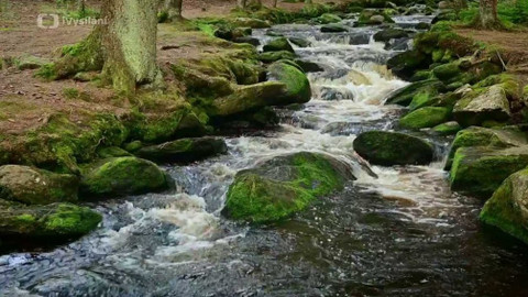 Kapka vody - Zadržení vody v krajině