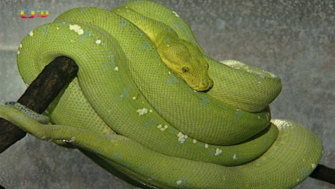 Terčin zvířecí svět - 29. března 2024