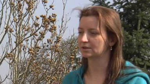 Chcete mě? - Chcete je?