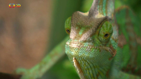 Terčin zvířecí svět - 3. října