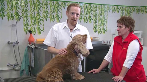 Chcete mě? - 2. dubna 2017