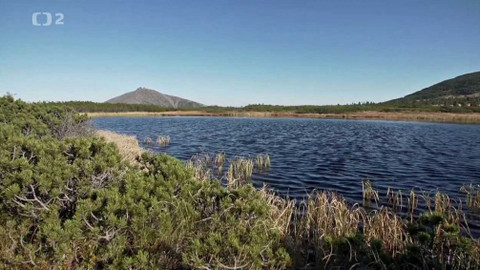 Minuty z Krkonoš - Krkonošská rašeliniště