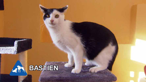 Chcete mě? - Chcete je?