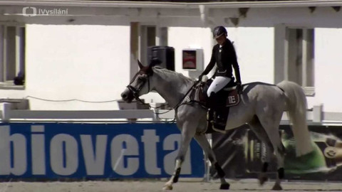 Jezdectví - Velká cena Zduchovice