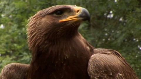 Na cestě - Na cestě po České Kanadě