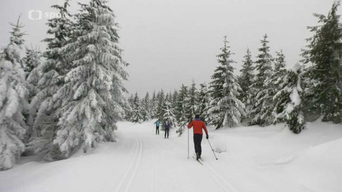 Běžkotoulky - Cínovecko