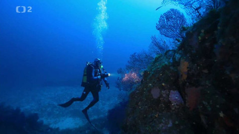 Dobrodružství vědy a techniky - Ochrana přírody na moři