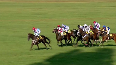 Velká pardubická - 2006