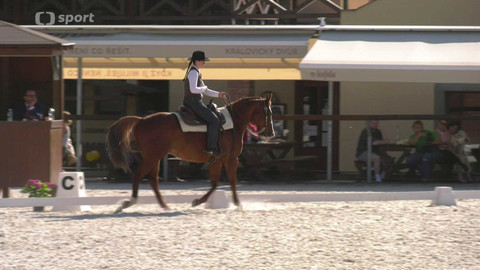 Koně a sport - 19. června