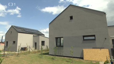 Černé ovce - 8. listopadu 2023