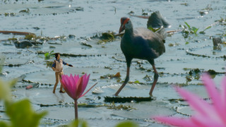 Andy a cesta kolem světa