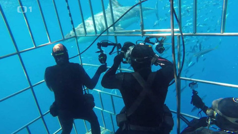 Objektiv - 10. března 2019