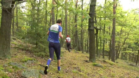 Orientační sporty - M ČR 2019 Štafety a družstva