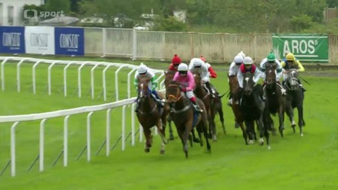 Turf - 29. října 2014