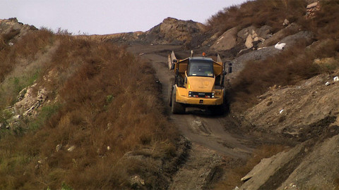 Nedej se! - Výzva k rezignaci