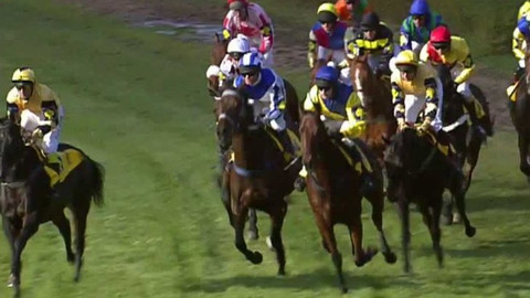 Velká pardubická - 2004