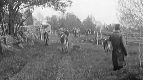 Československá expedice - Mrtvý luh