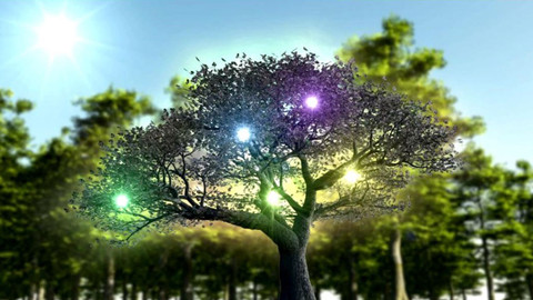 Obdivuhodný svět přírody - Letní příroda v Okutamě