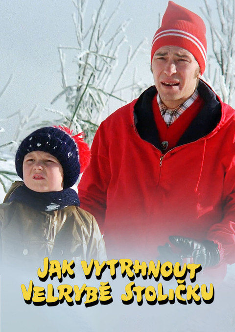 Jak vytrhnout velrybě stoličku