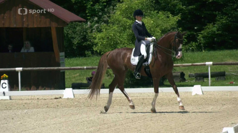 Jezdectví - Mezinárodní drezurní závody CDI-W Brno