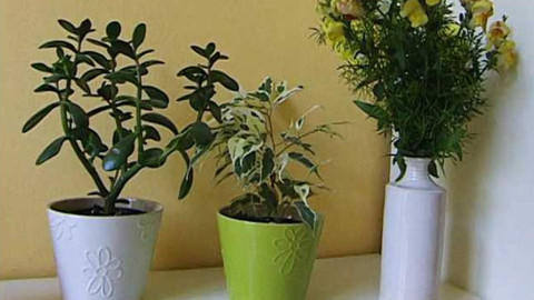 Bydlení je hra - 7. září 2007