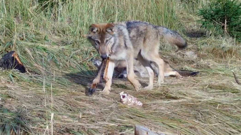 Regiony ČT24 - 21. února