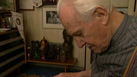 Archiv D - Kapitán Římanů