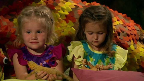 Dračí pohádky - O princezně murciánské