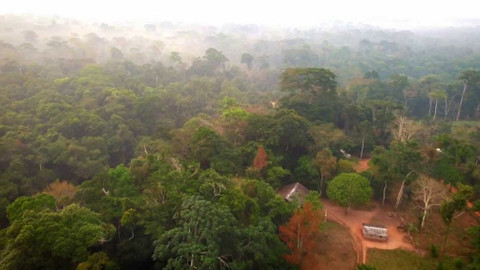 Pomáháme jim přežít - 2/2 Toulavý autobus v Kamerunu