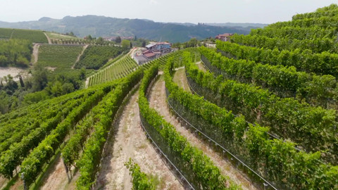 Milovníci vína - 7/12 Ryzlink z Piemonte