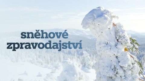 Sněhové zpravodajství