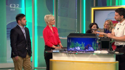 Dobré ráno - 24. dubna 2014