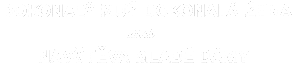 Dokonalý muž, dokonalá žena aneb Návštěva mladé dámy