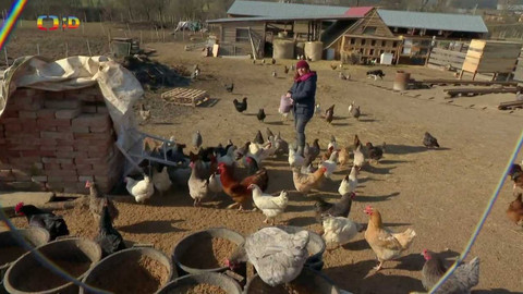 Terčin zvířecí svět - 31. března 2023