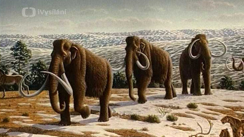 Objektiv - 21. listopadu 2004