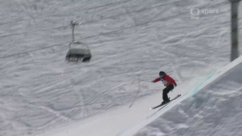 Světový pohár ve freestyle lyžování - Francie