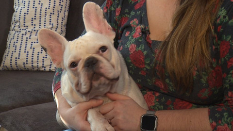 Chcete mě? - 24. února 2019