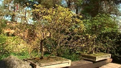 Zahrada je hra - 14. srpna 2008