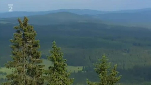 Přidej se - Lesní družstvo