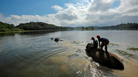 Vůně cizích krajů - Laos na vlnách Mekongu