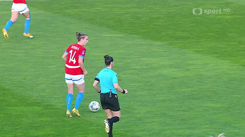 Fotbal - Česko - Dánsko
