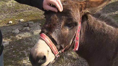 Týden v regionech (Ostrava) - 24. března 2018