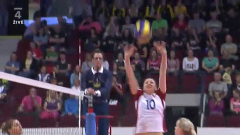 Volejbal - Česko - Maďarsko