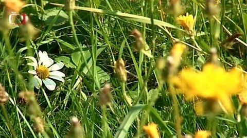 Zahrada je hra - 25. září 2008