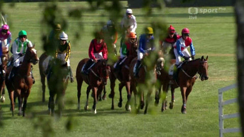 Dostihy - II. kvalifikace na 133. Velkou pardubickou se Slavia pojišťovnou