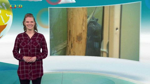 Zprávičky - 23. března 2021