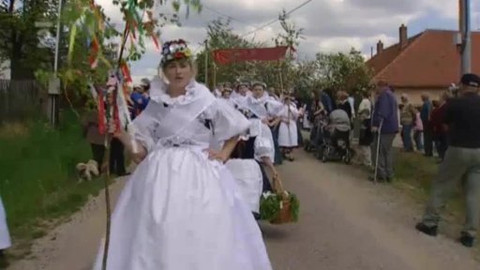 Folklorika - Královničky